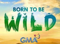 Born To Be Wild May 11 2025