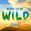 Born To Be Wild June 15 2025